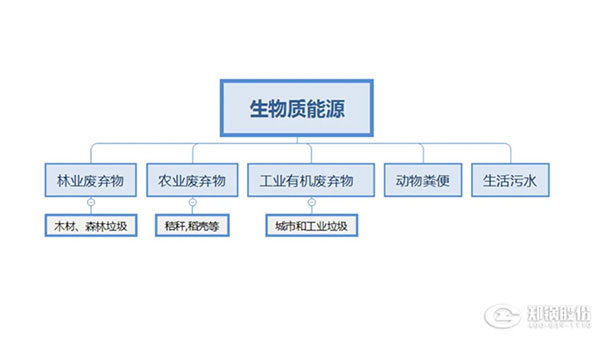 生物質鍋爐,生物質能源利用,新機遇