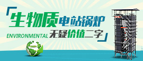 生物質電站 -- 中國電力工業(yè)結構調整新方向