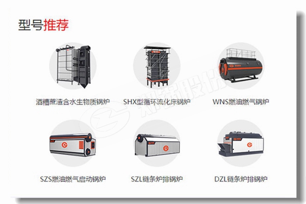 制藥廠5噸低排放污染鍋爐